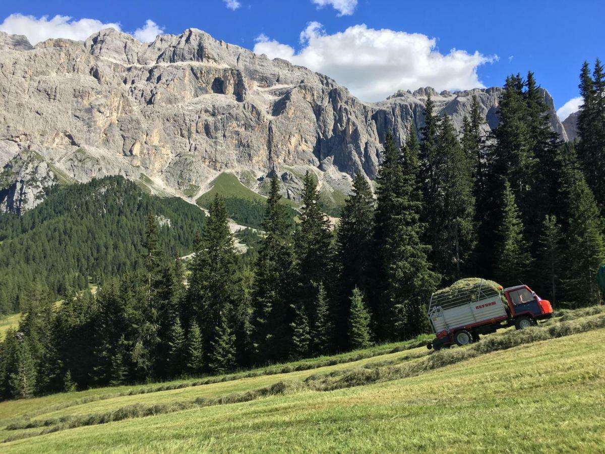Chalet Albric سيلفا دي فال جاردينا المظهر الخارجي الصورة